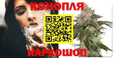 дмт Будённовск