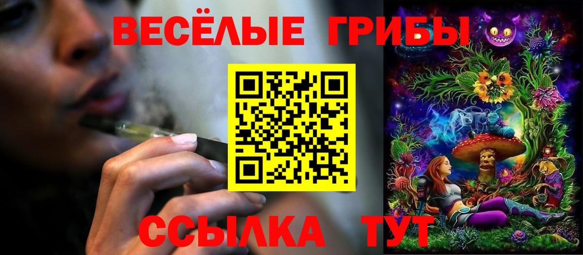 Галлюциногенные грибы Psilocybine cubensis  Вход с VPN  Мценск 
